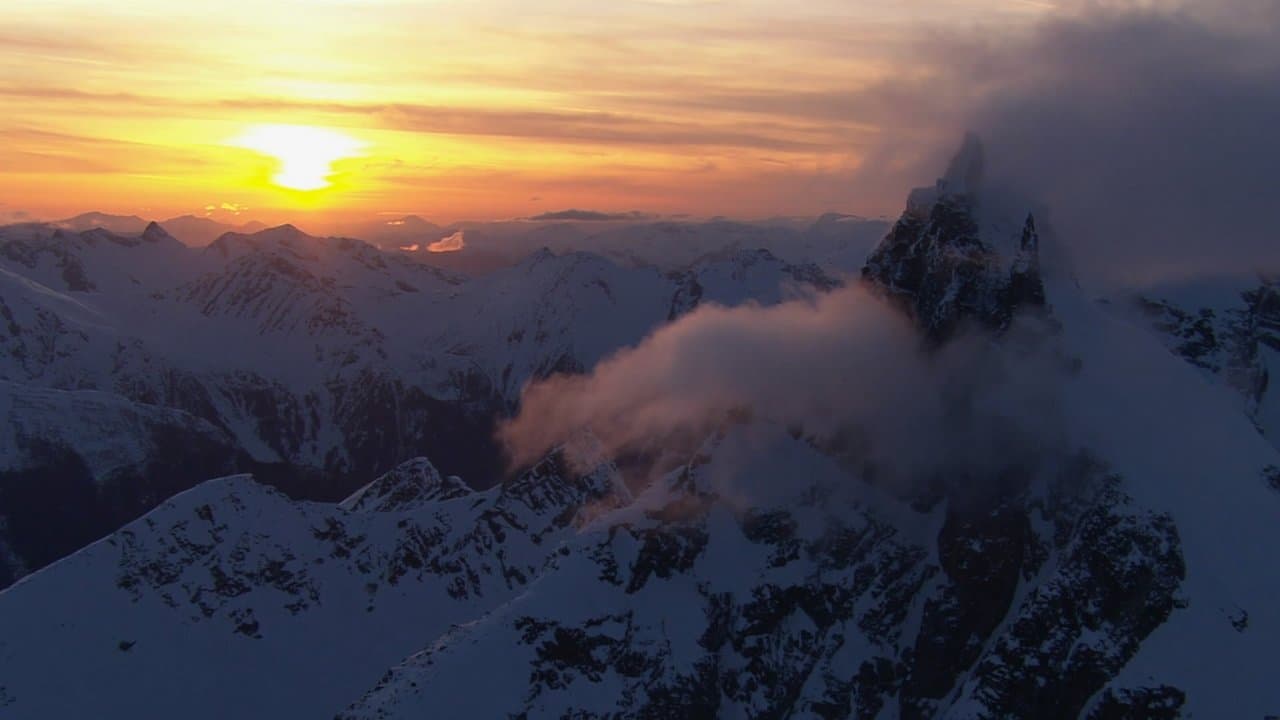 Into the Mindの背景画像