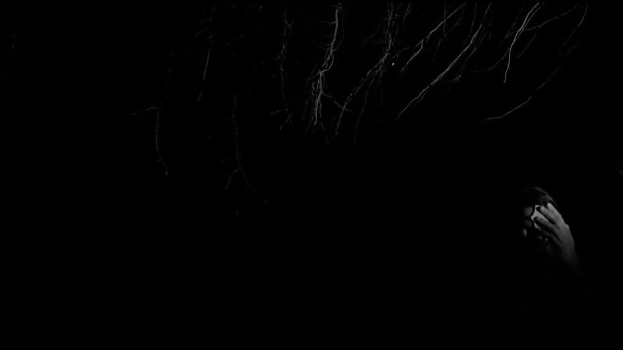 Kintsukuroi o donde nacen los árbolesの背景画像