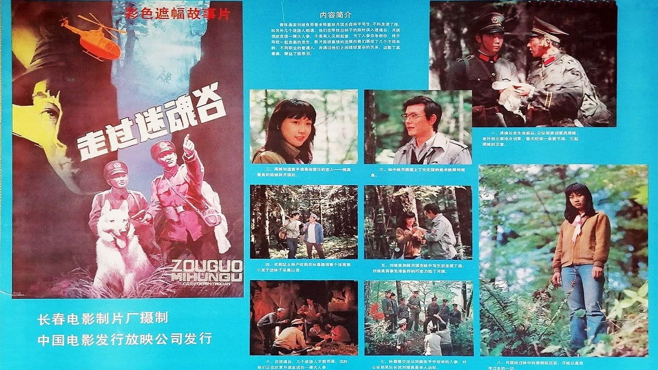 走过迷魂谷の背景画像