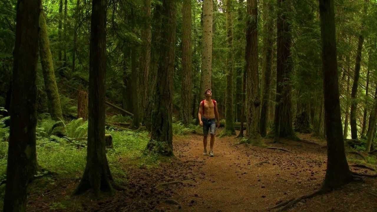 1313: Bigfoot Islandの背景画像