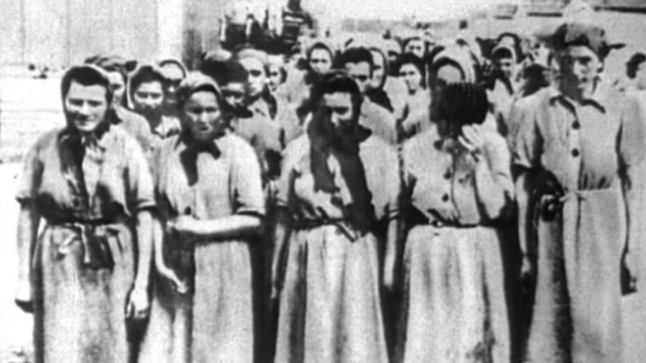 La donna nella Resistenzaの背景画像