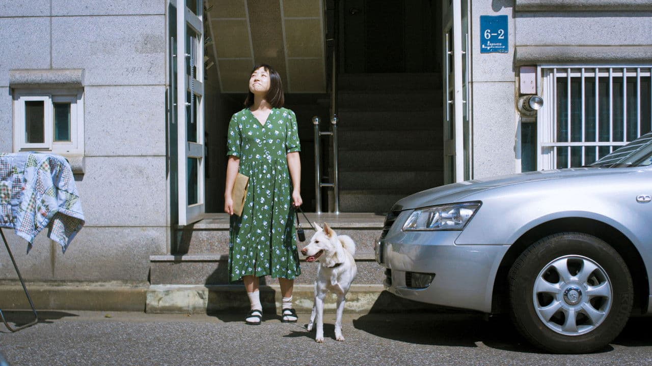 생각의 여름の背景画像