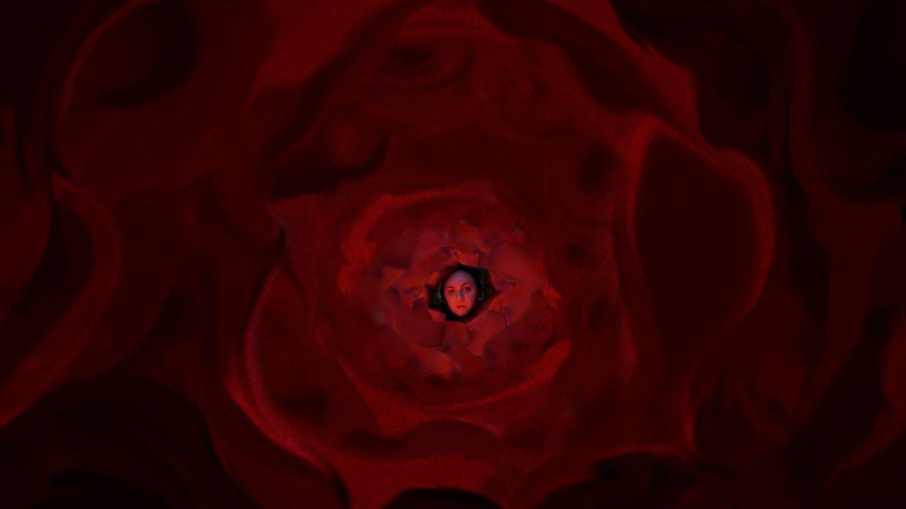 Iracemaの背景画像