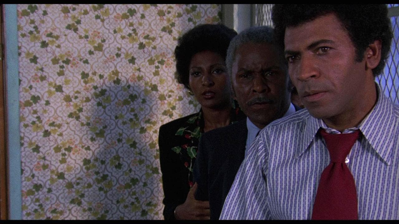 Sheba, Babyの背景画像