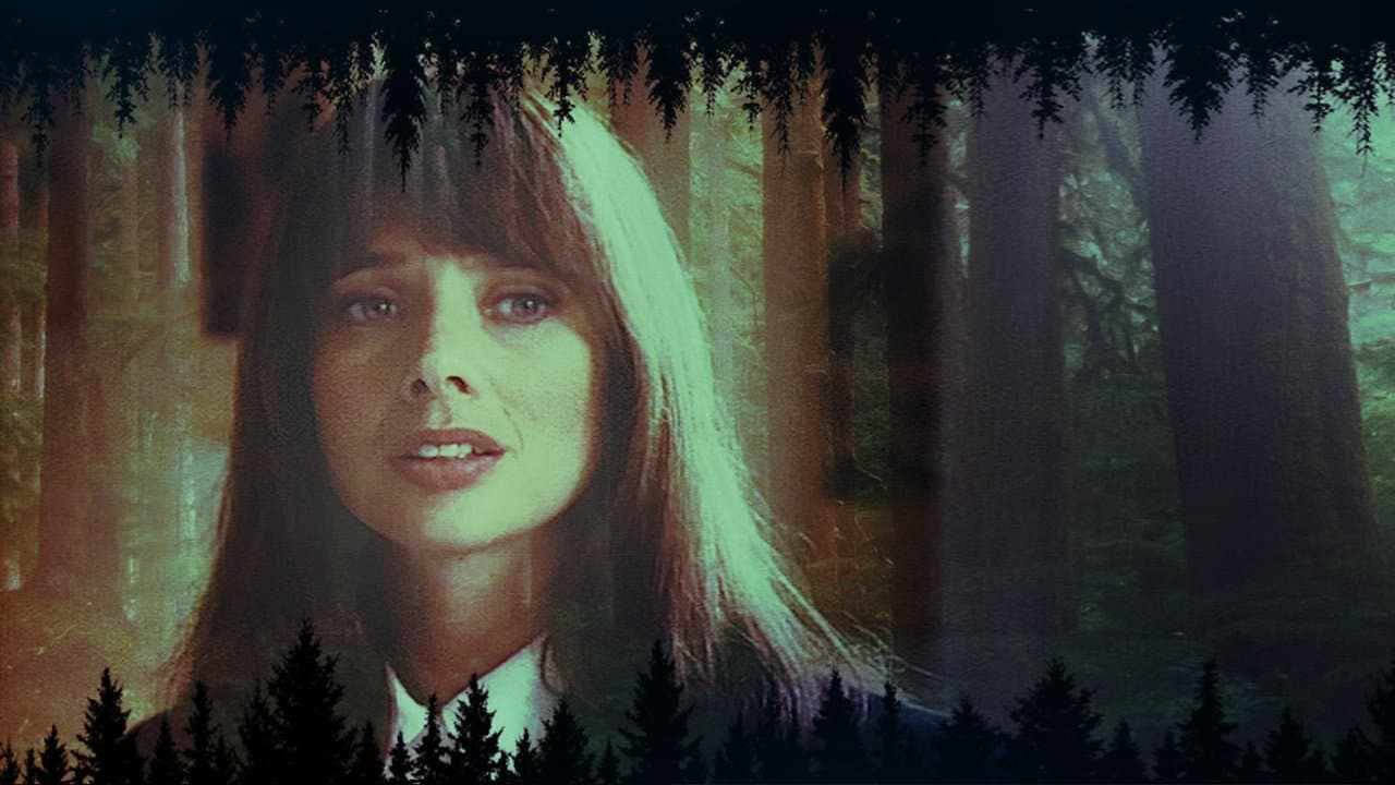 In the Deep Woodsの背景画像