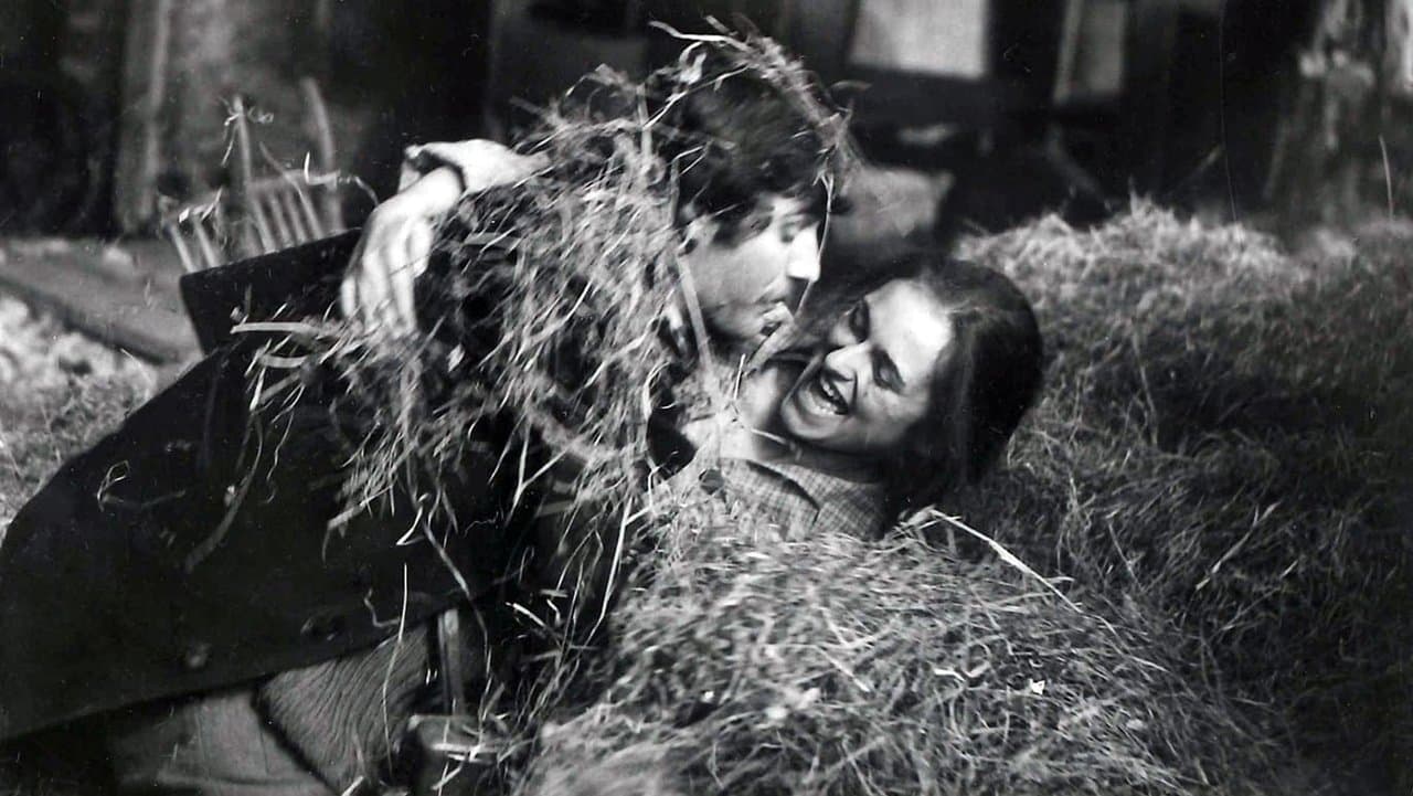 Rdeče klasjeの背景画像