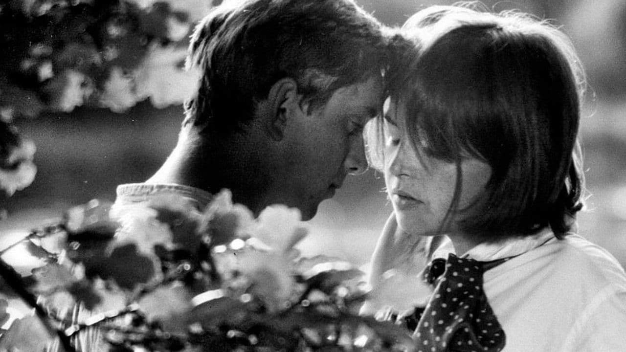 Romance pro křídlovkuの背景画像