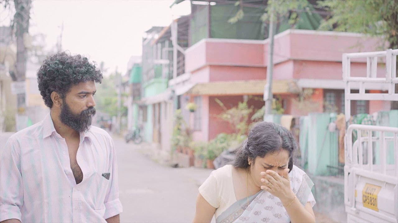 Haachiの背景画像