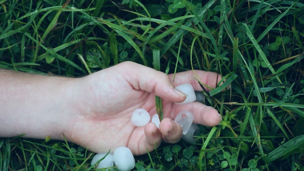 Defektの背景画像