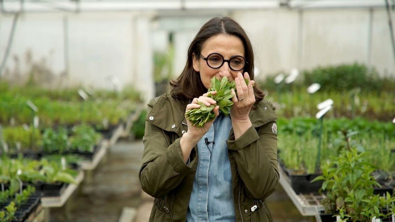 La vérité si je mentheの背景画像