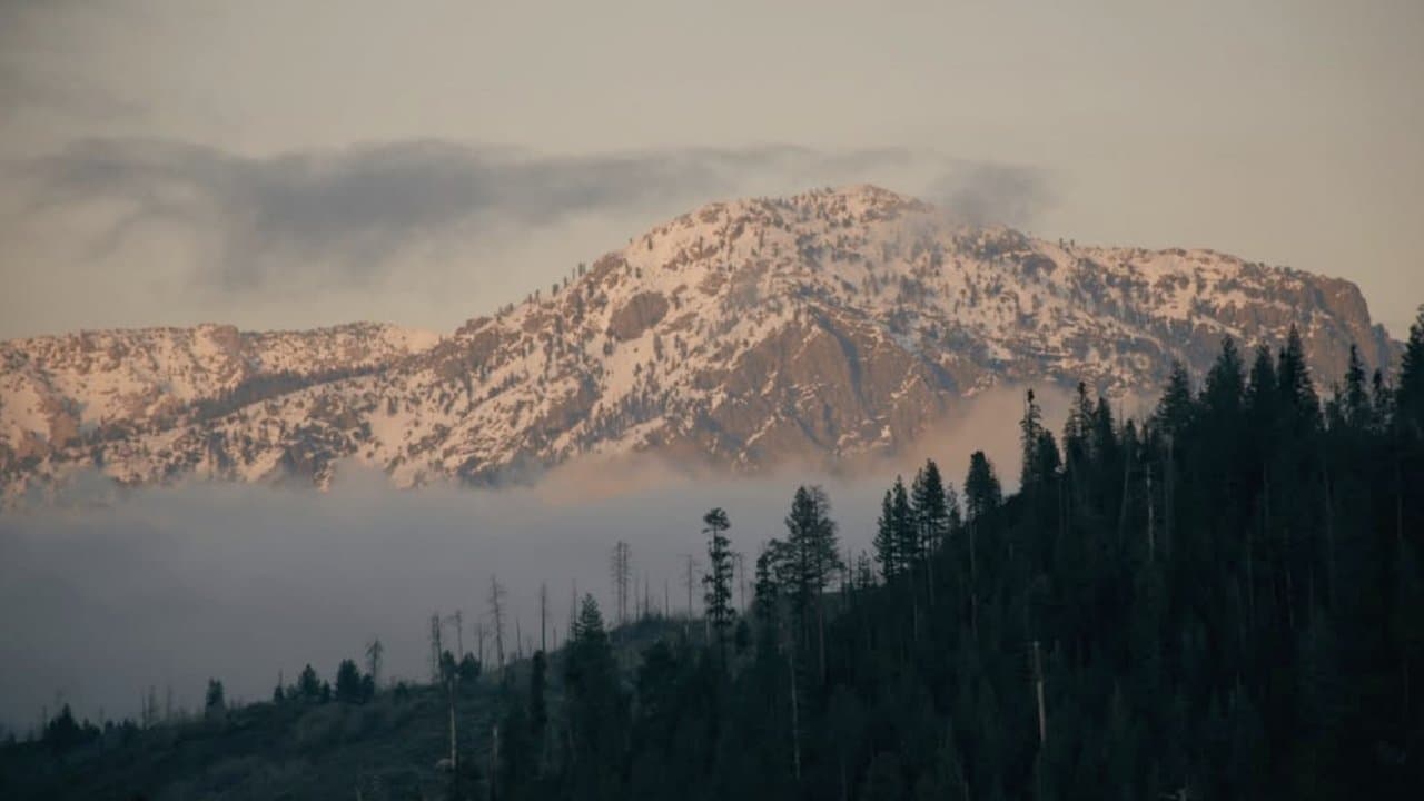 To the Mountainsの背景画像