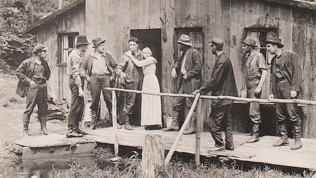 Dynamite Allenの背景画像