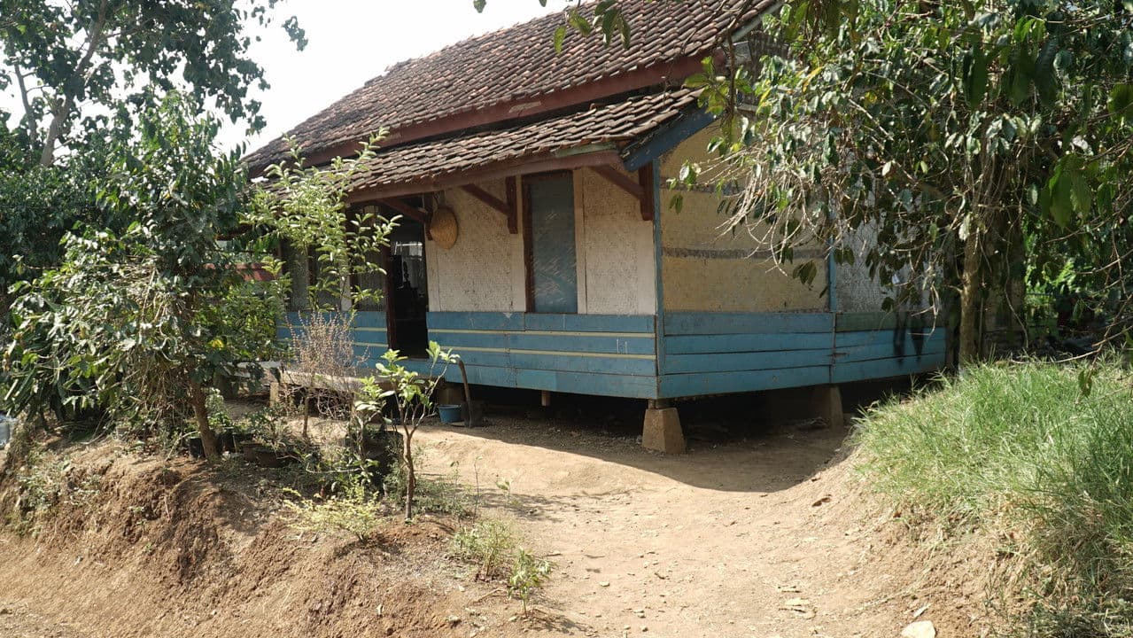 Yang Terungkapの背景画像