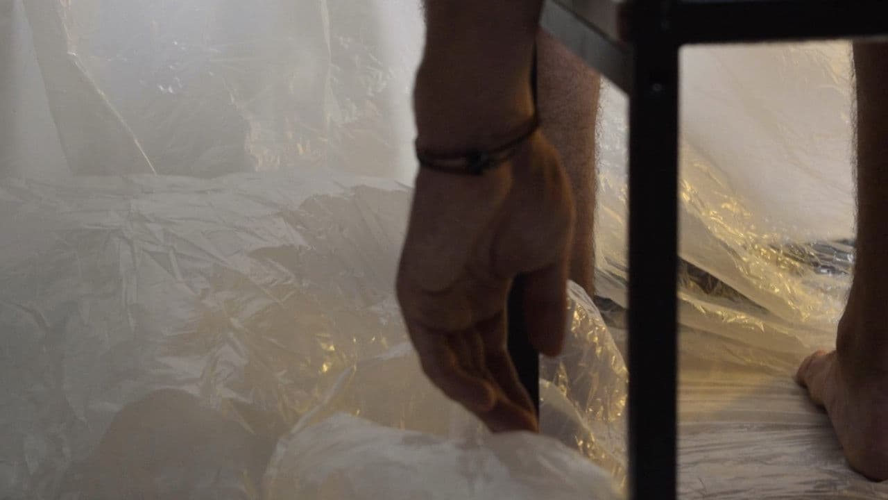 Spatial Memoryの背景画像