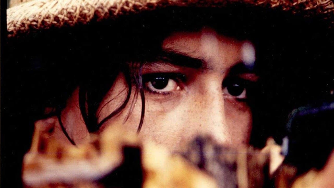 La tigraの背景画像