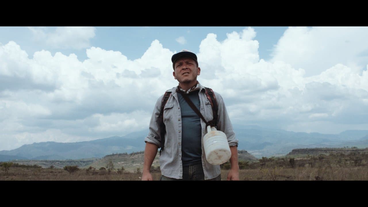 90 Minutosの背景画像