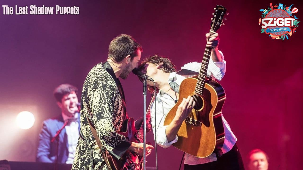 The Last Shadow Puppets at Sziget Festivalの背景画像