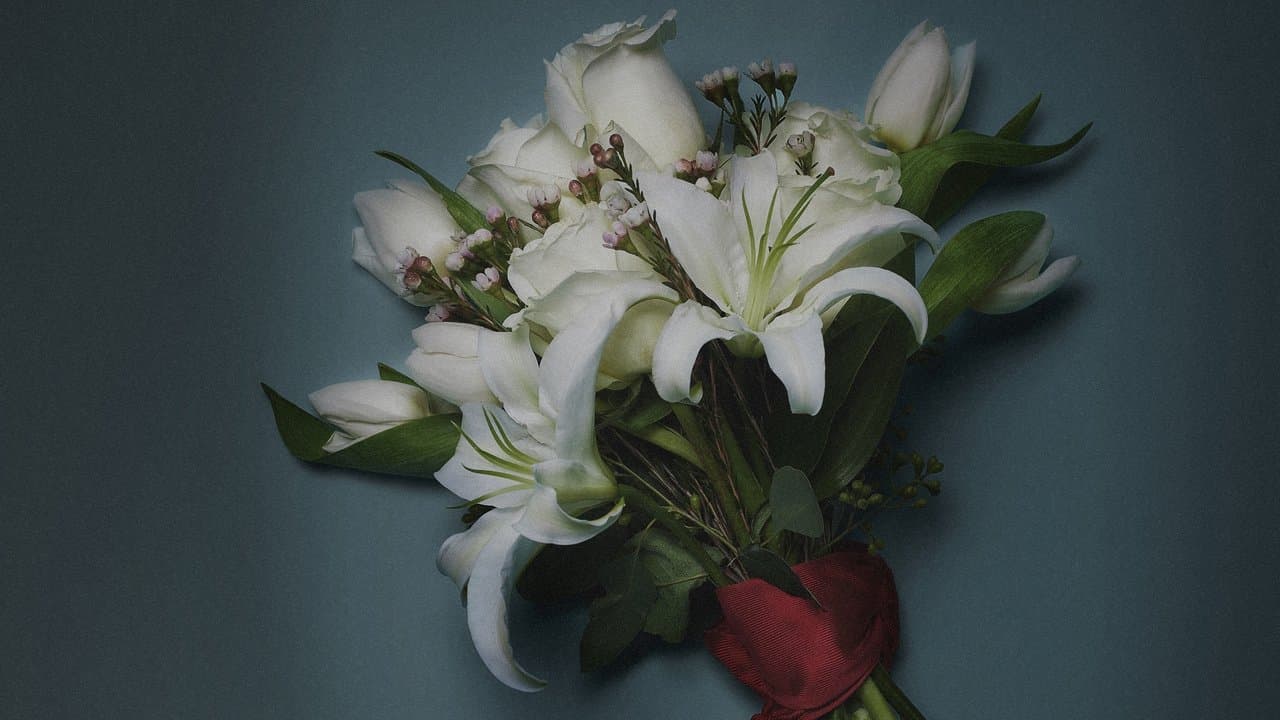 Bride Killaの背景画像