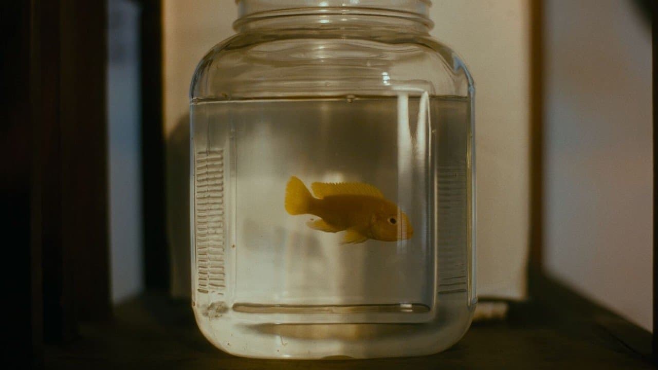 Sadrah Poem Of Bloodの背景画像