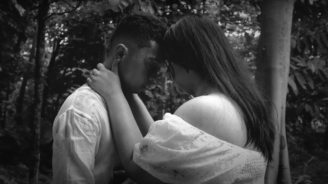 the songs they leave that echo throughの背景画像