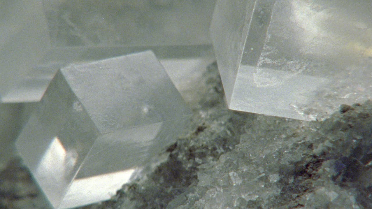 Last Thingsの背景画像