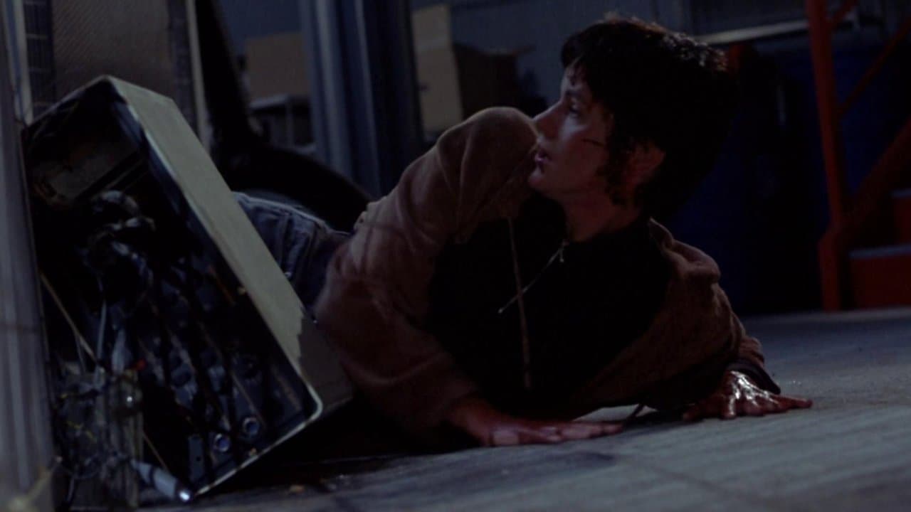 Man's Best Friendの背景画像