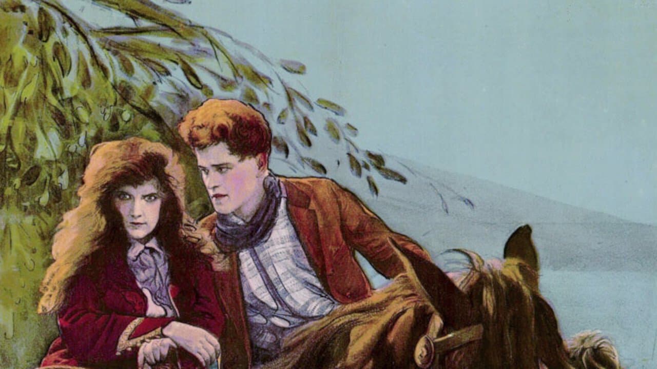 The Boss of the Ranchoの背景画像