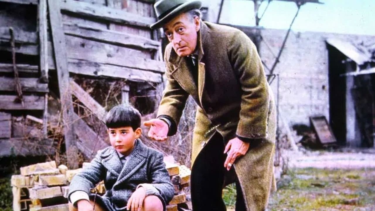 Totò e Marcellinoの背景画像