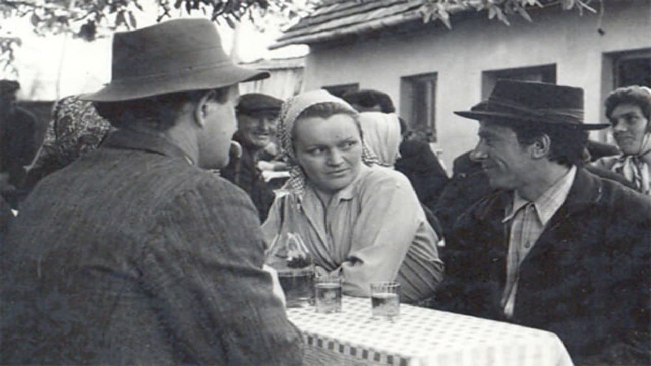 Mejašiの背景画像