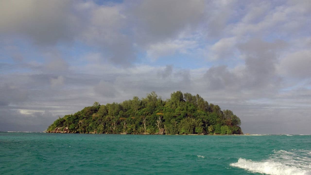 A Grain of Sandの背景画像