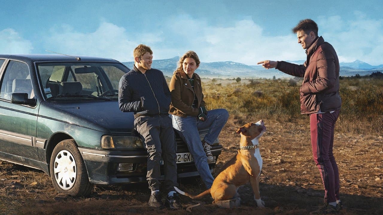 のら犬の背景画像