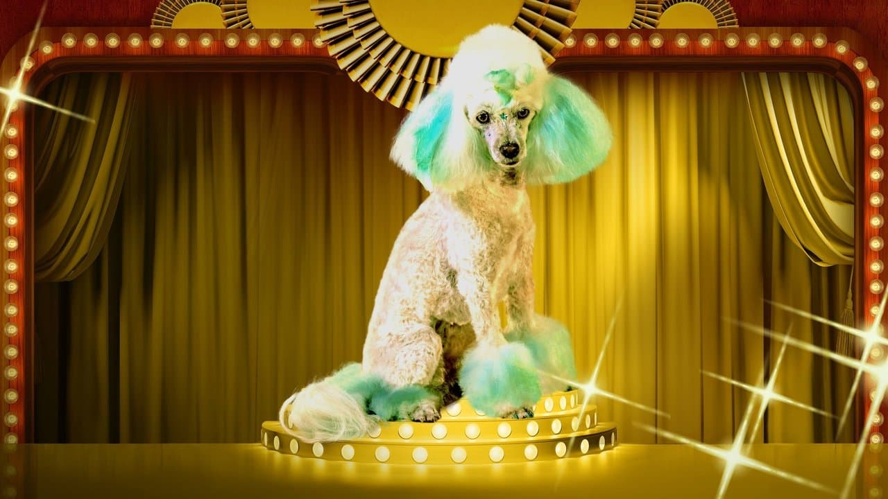 Haute Dogの背景画像