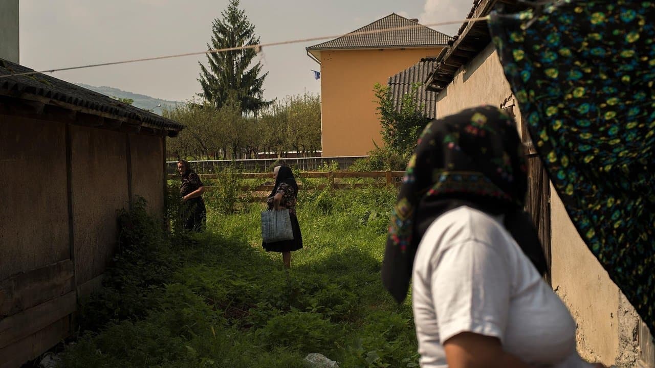 Adentro mío estoy bailandoの背景画像