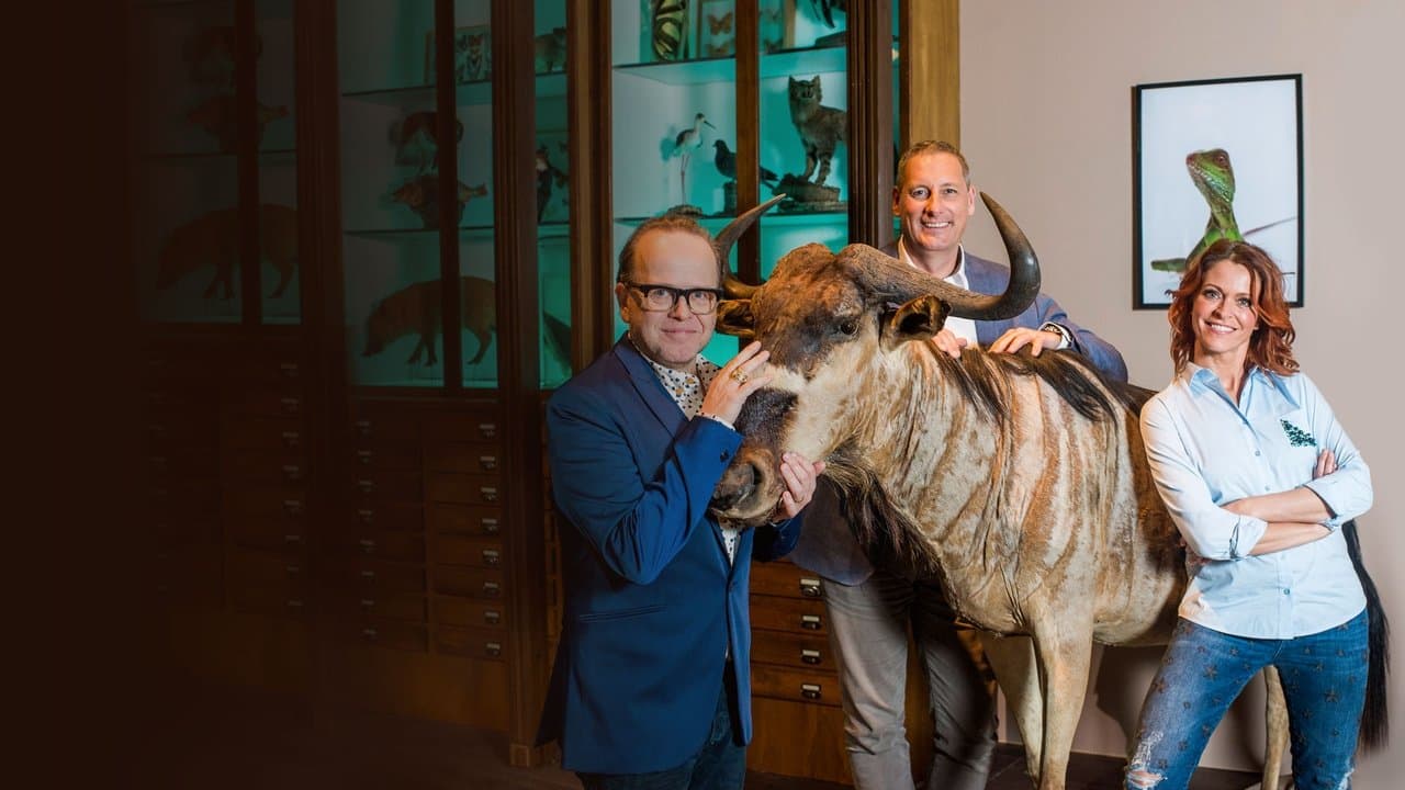 Het zijn net mensenの背景画像