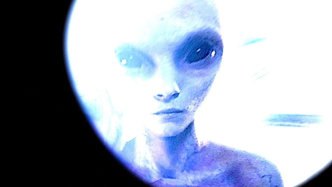 The Alien Reportの背景画像