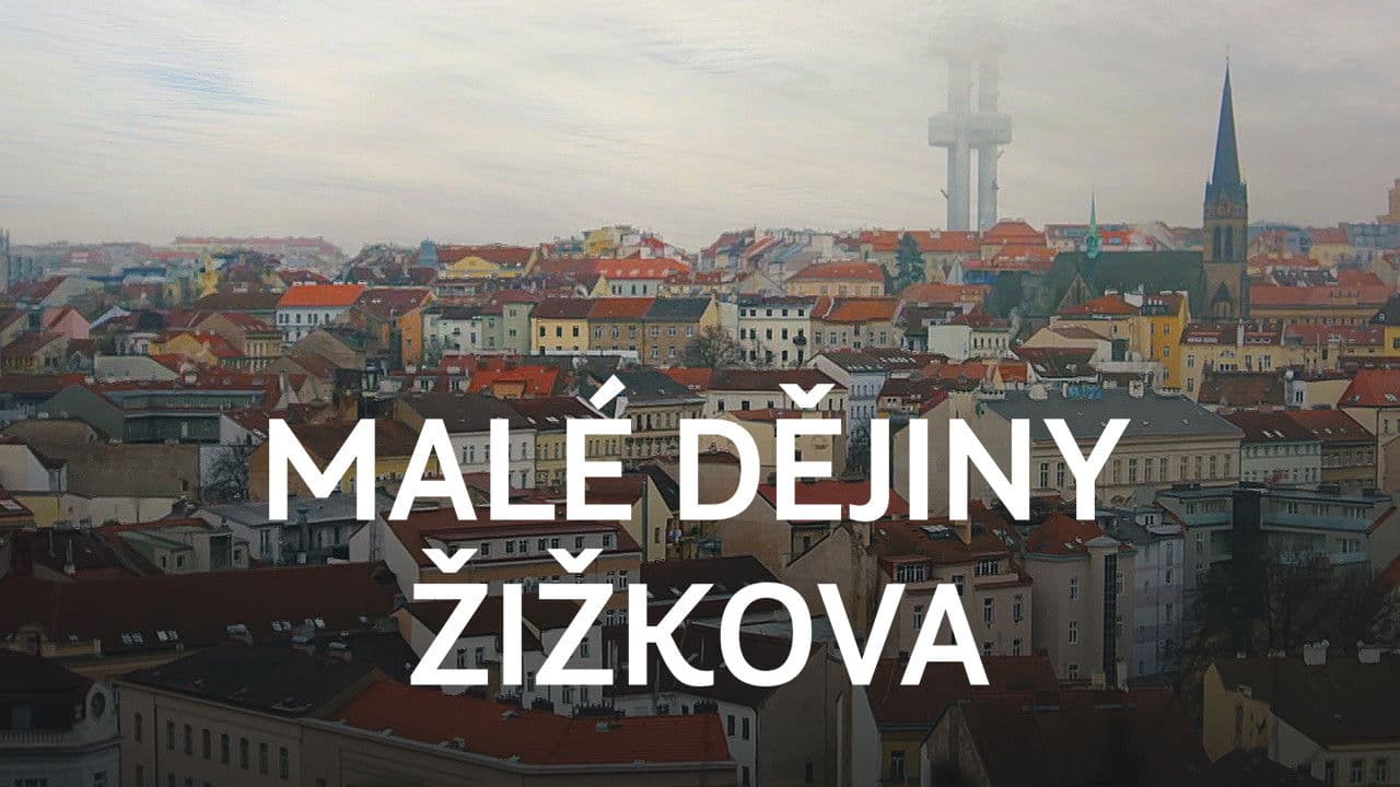 Malé dějiny Žižkovaの背景画像