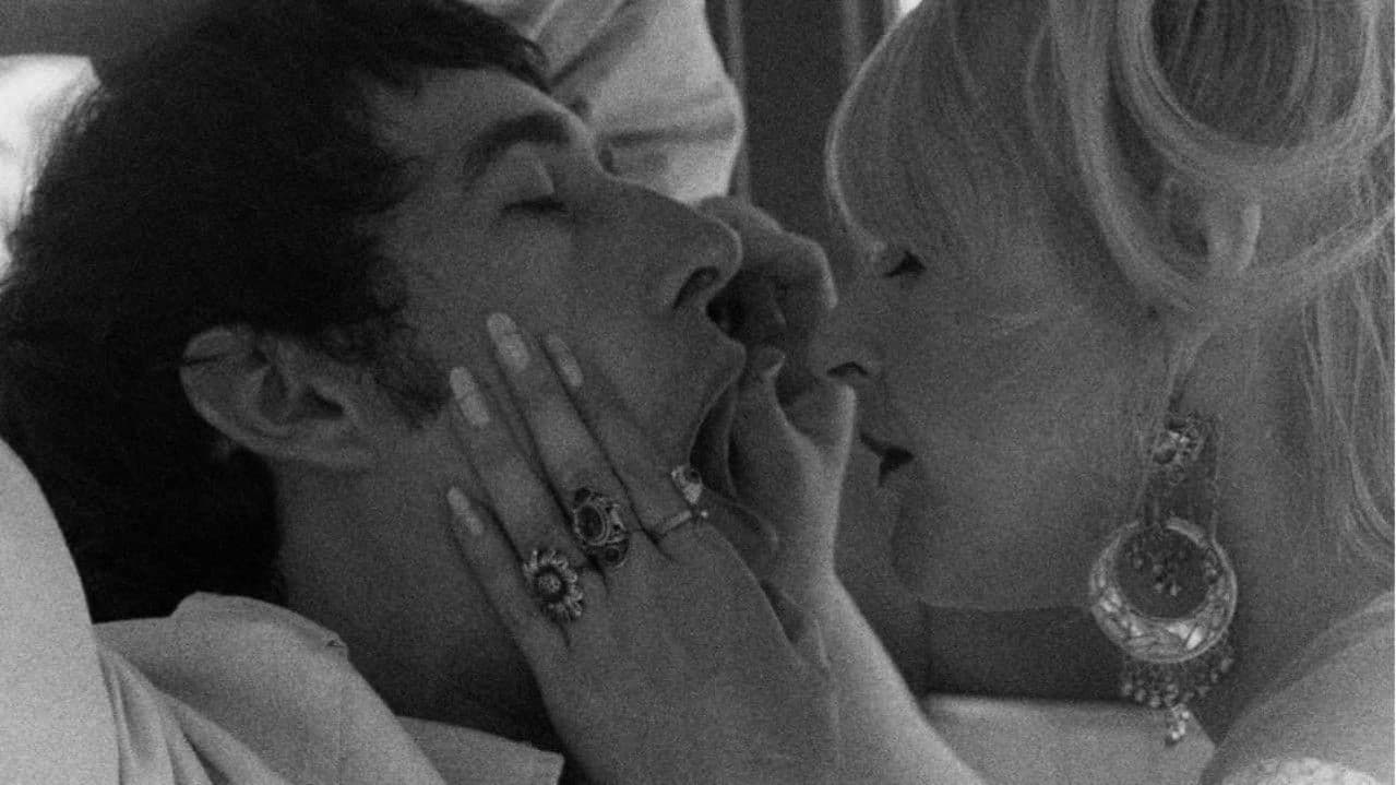 The Bizarre Onesの背景画像