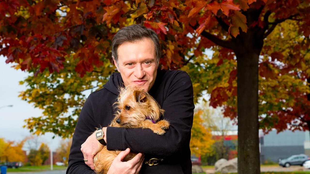 Refuge animalの背景画像