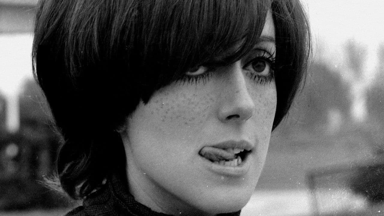 Topical spanishの背景画像