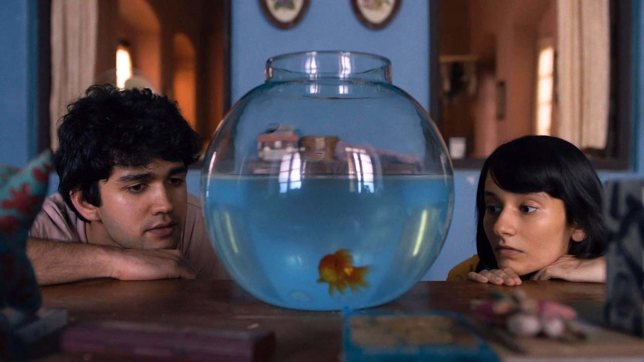 What are the Odds?の背景画像