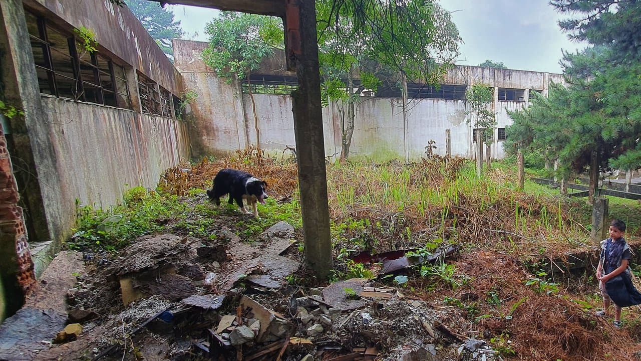 Borderの背景画像