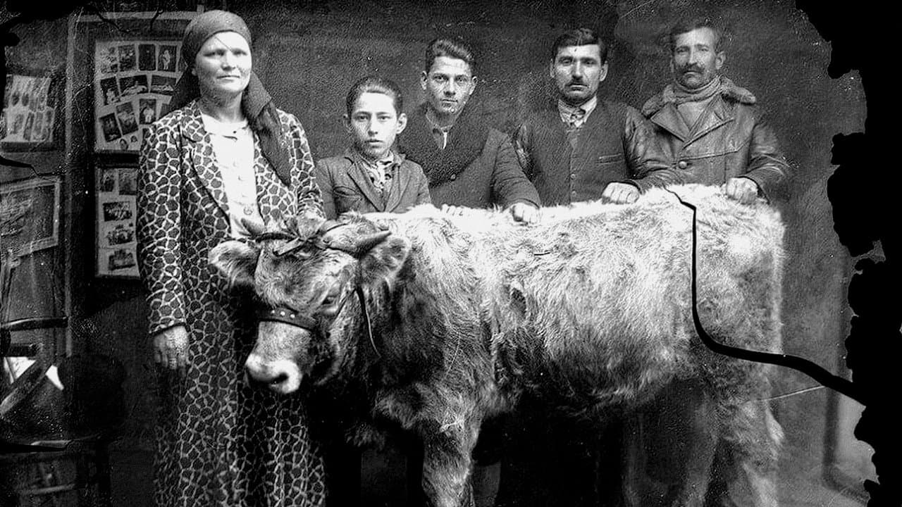 Ţara Moartă: fragmente de vieţi paraleleの背景画像