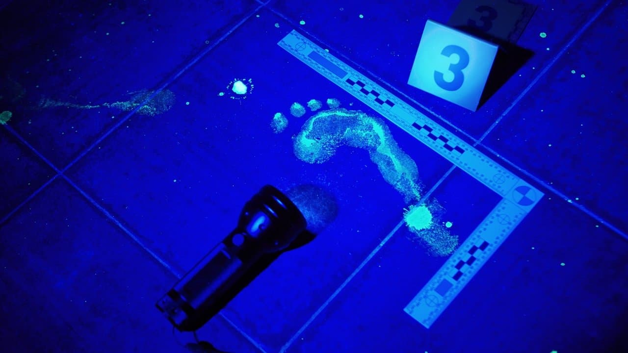 Forensic Filesの背景画像