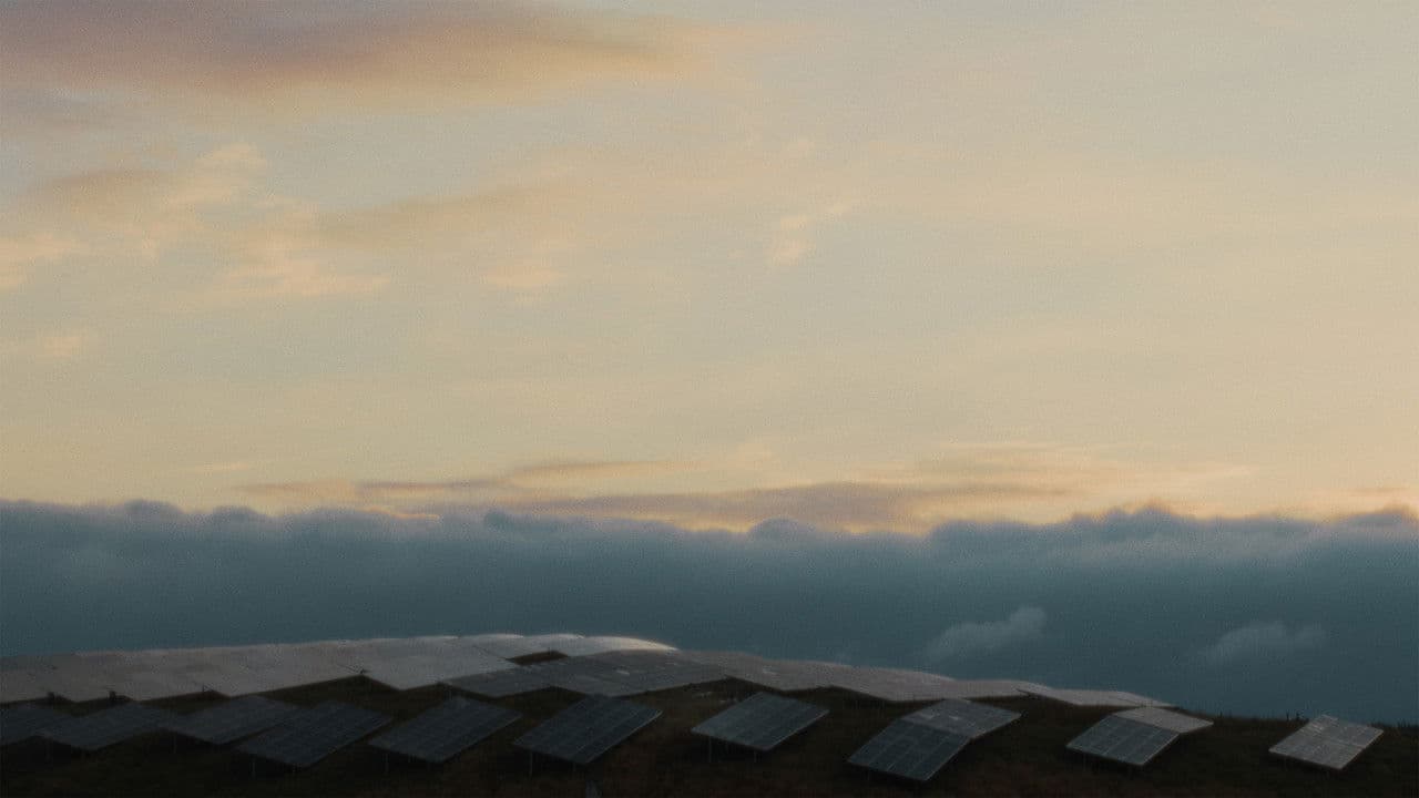 Sonnenköniginの背景画像