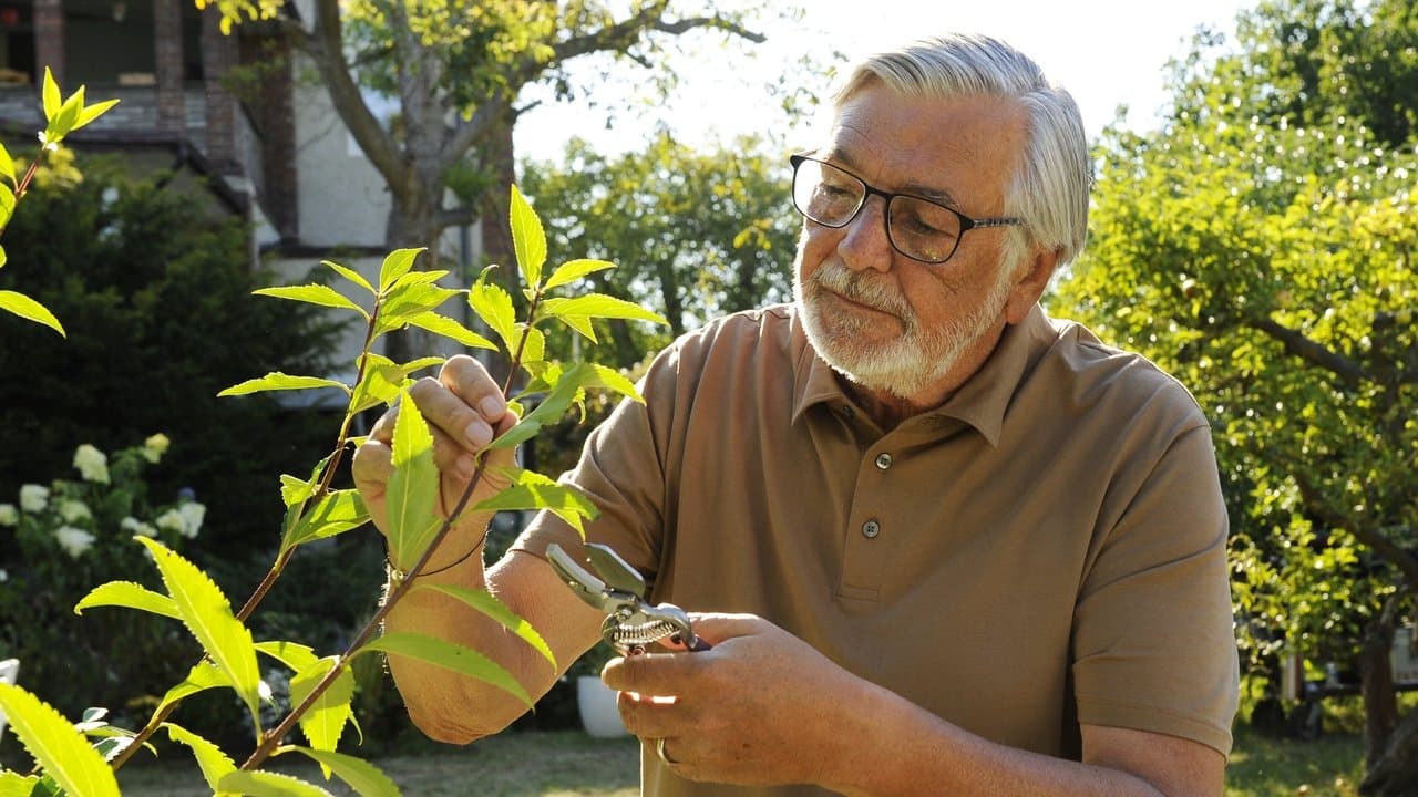 Zbožňovanýの背景画像