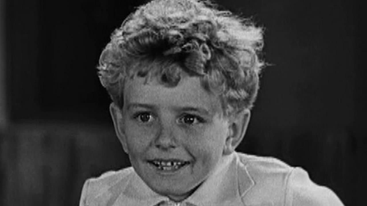 Honky Donkeyの背景画像