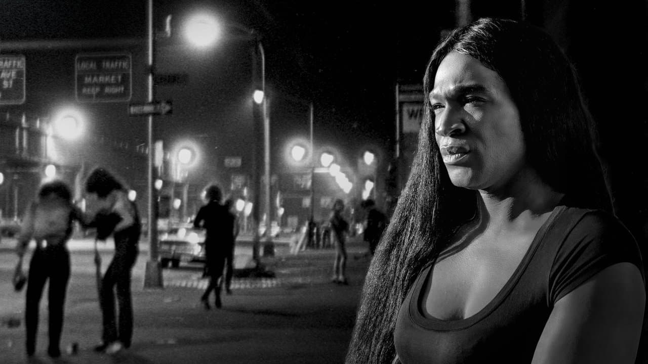 The Strollの背景画像