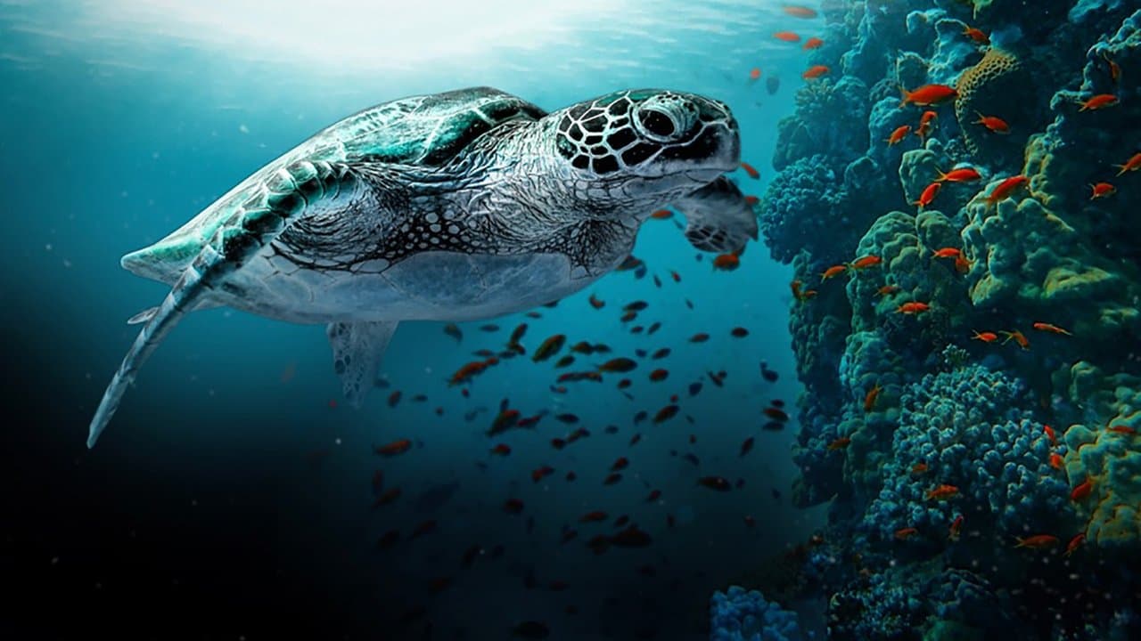 The Great Barrier Reef: A Living Treasureの背景画像