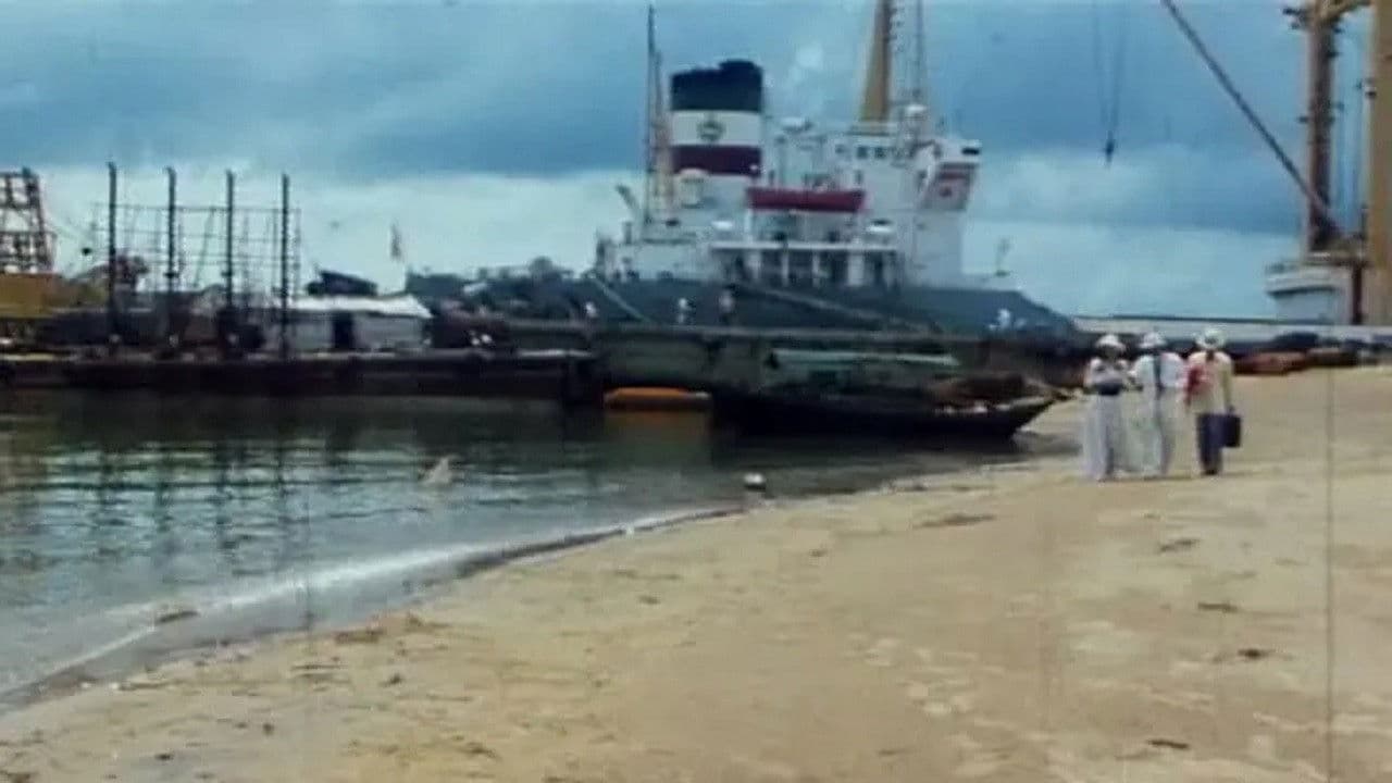 女劫杀の背景画像