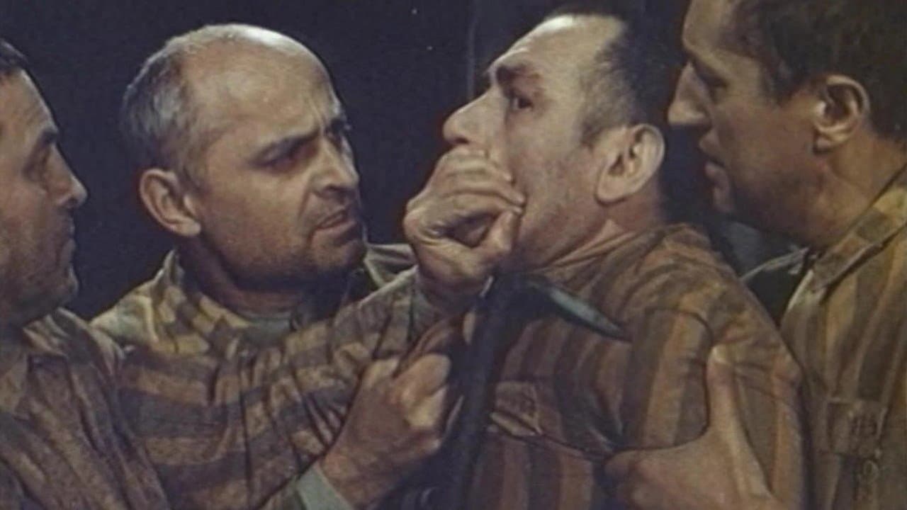 Hranjenikの背景画像